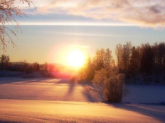 how to stop killing your hopes and dreams